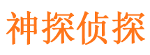 内丘市调查公司